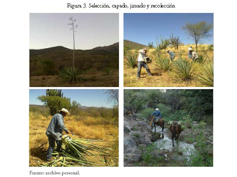 Innovación Para El Fomento De La Competitividad En El - 