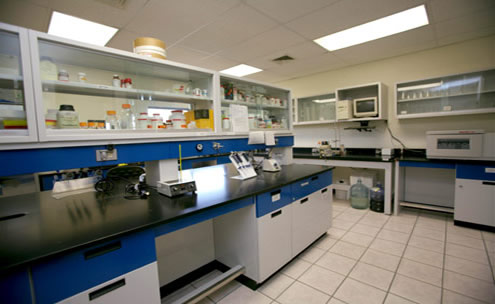Lab