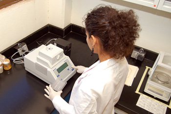 Lab