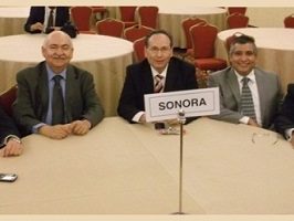 COM-SON-AZ-2012-2