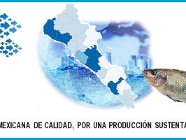 FORO-2