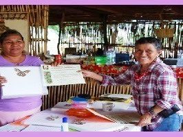 taller-mariposa-cuatroespejos