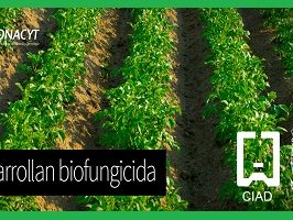 biofungicida-2
