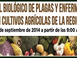 FORO-NAYARIT-3