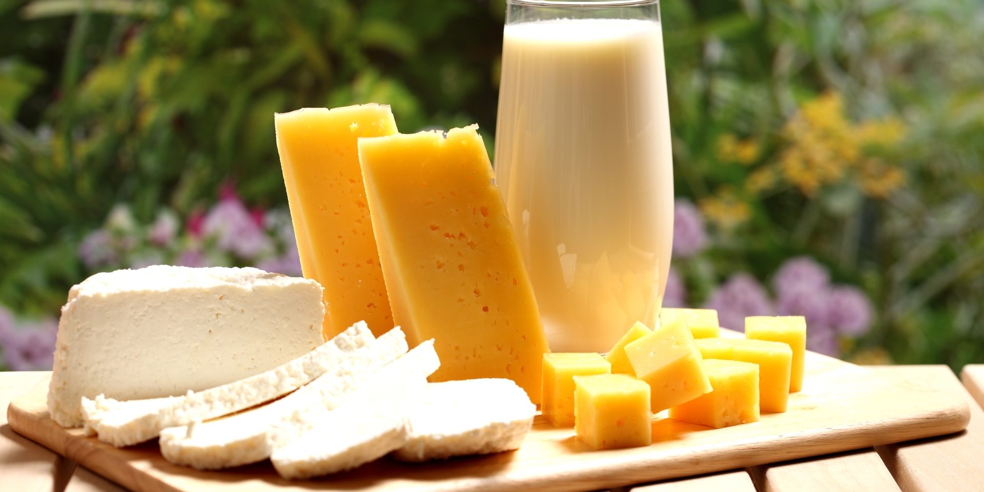 NOTA LACTEOS A NOTA LACTEOS A