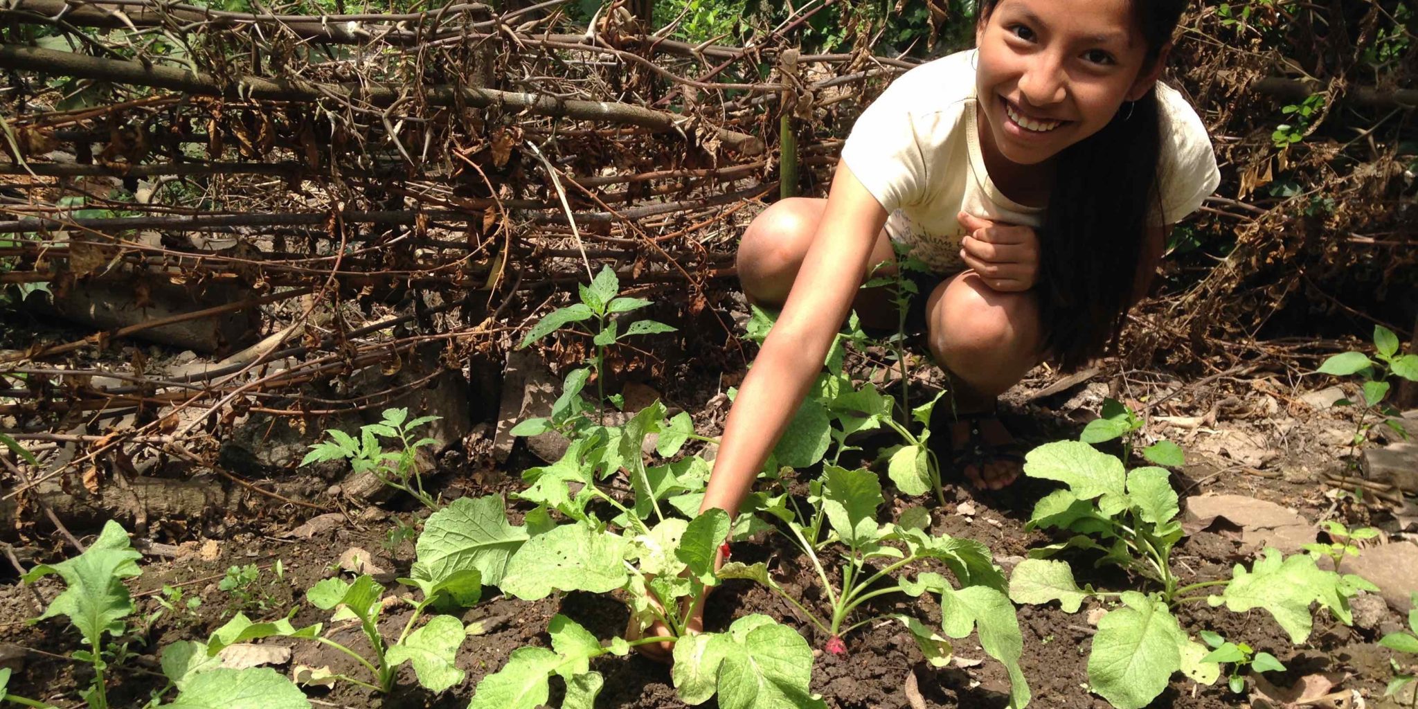 NOTA ADESUR B NOTA ADESUR B