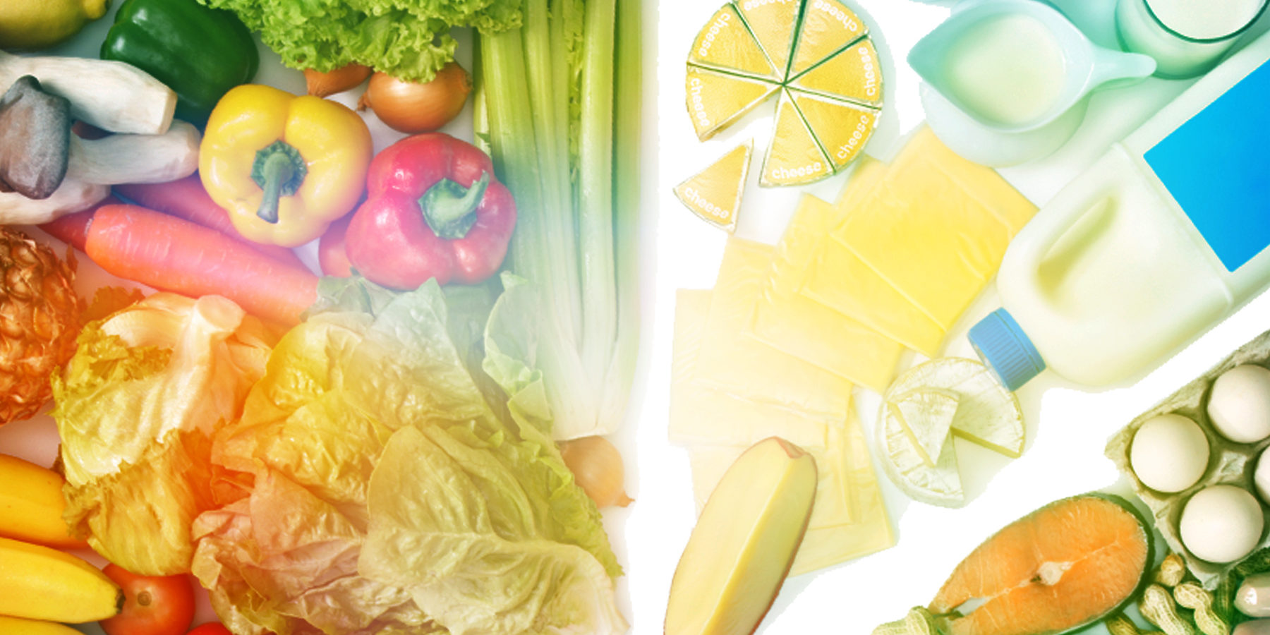 2da-Jornada-Alfanutra