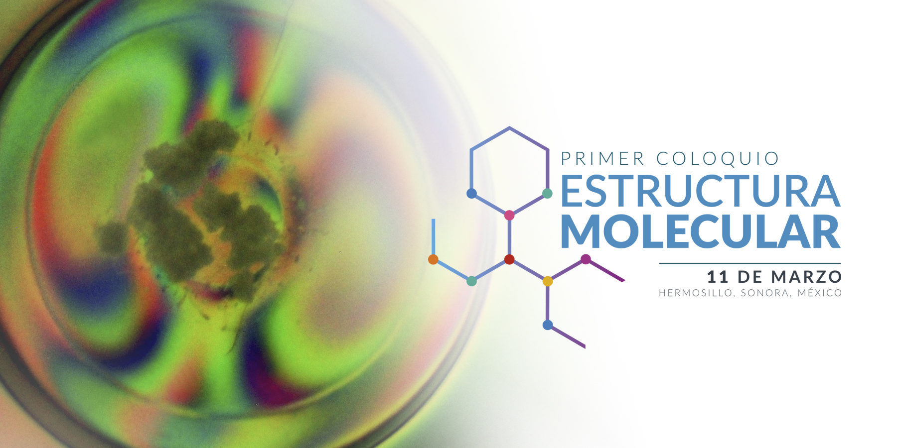 Primer-Coloquio-Estructura-Molecular