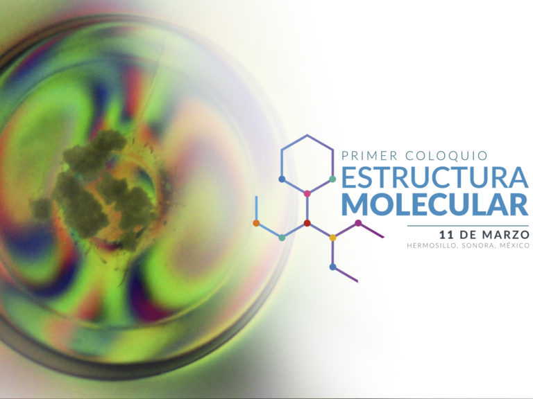 Primer-Coloquio-Estructura-Molecular