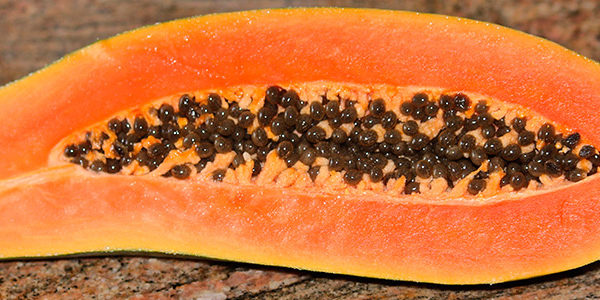800x300_papaya_16_3