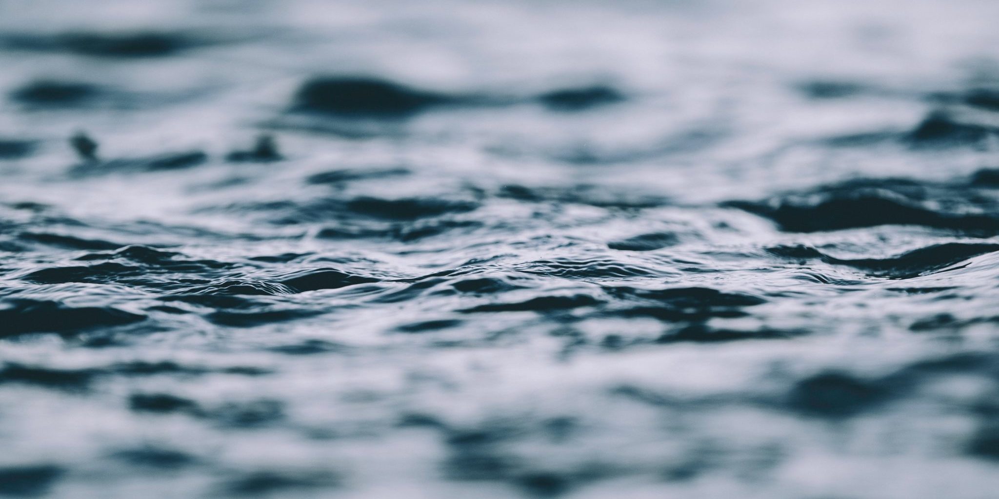 Libro-Contaminacin-Pacifico