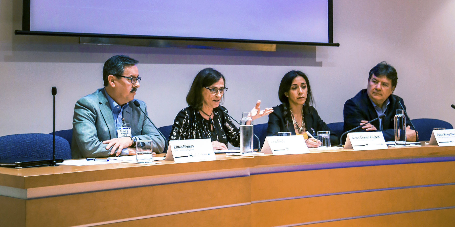 gobernanza-ambiental