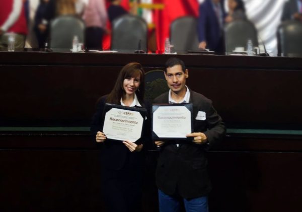 Luis-Huesca-Linda-Llamas