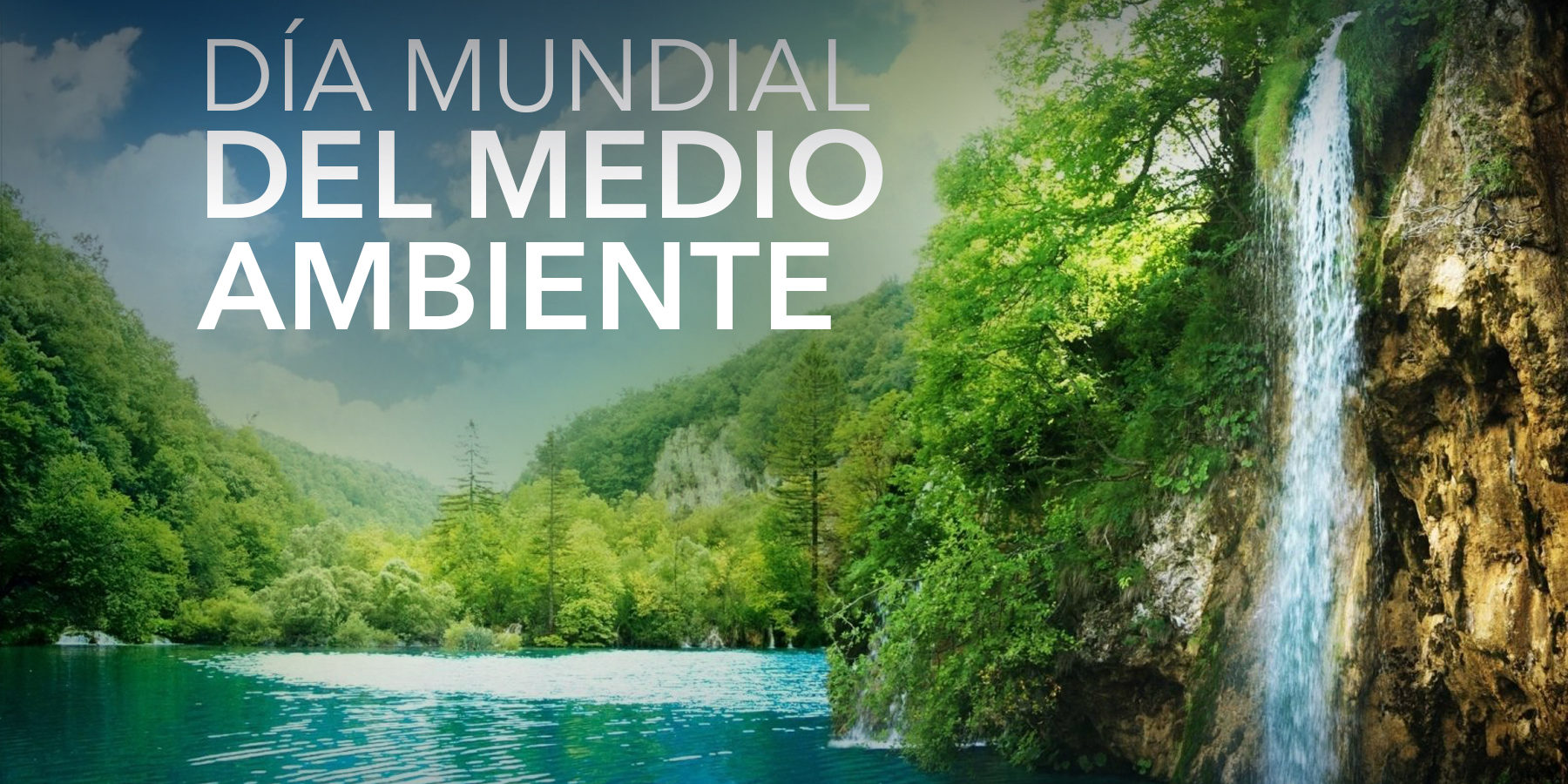 DiaMundialdelMedioAmbienteWeb