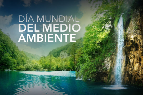 DiaMundialdelMedioAmbienteWeb