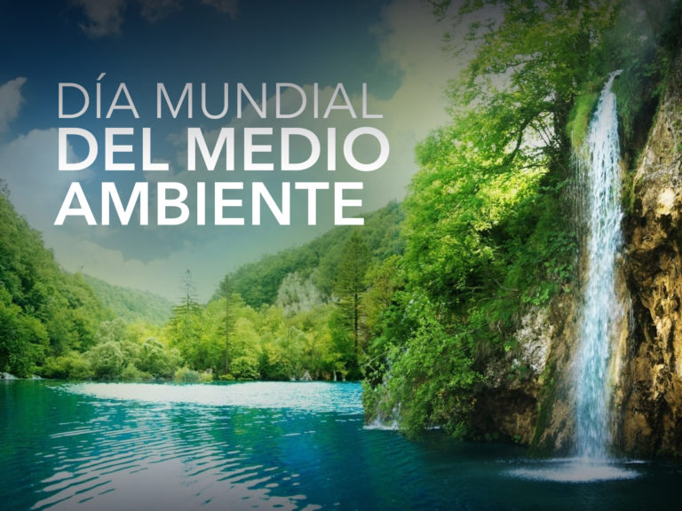DiaMundialdelMedioAmbienteWeb