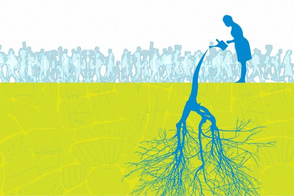 EL-VALOR-DEL-ARTILUGIO-EN-LA-EXPERIENCIA-DE-PRODUCIR-LOS-ALIMENTOS