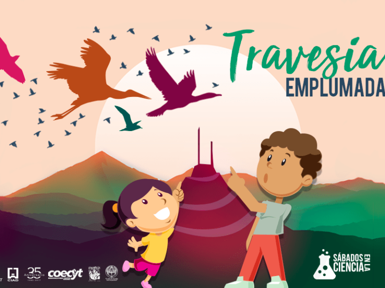 TravesiaEmplumadaBanner