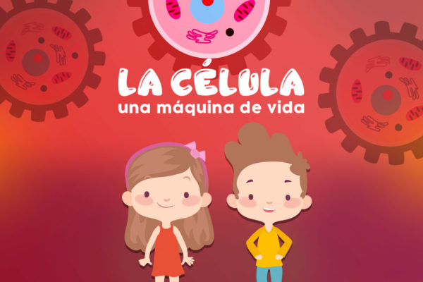 146-WEB-NOTA-3