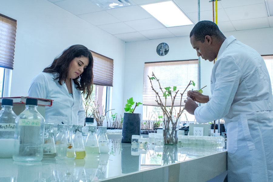 ecologia-medio-ambiente-img-2