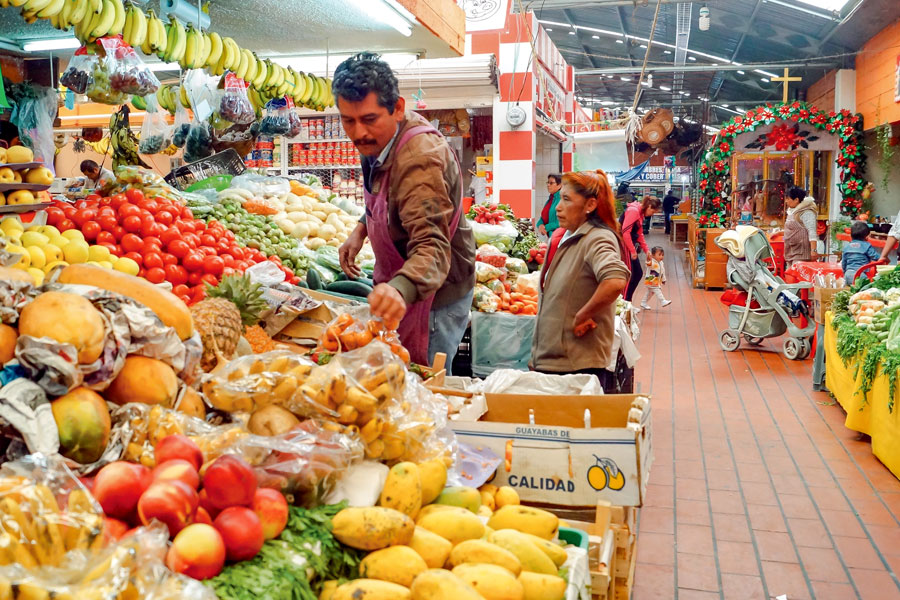 economia-desarrollo-regional-img