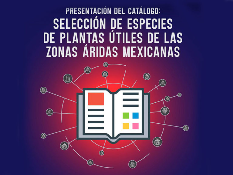 186-WEB-NOTA-2