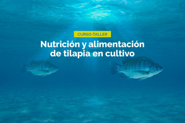 188-WEB-NOTA-2