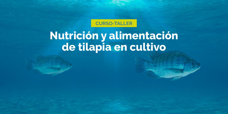 188-WEB-NOTA-2