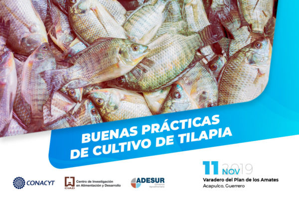 210-WEB-NOTA-3