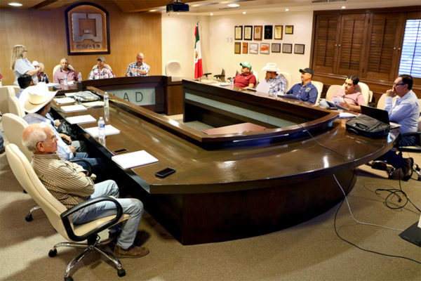 213-WEB-NOTA-1