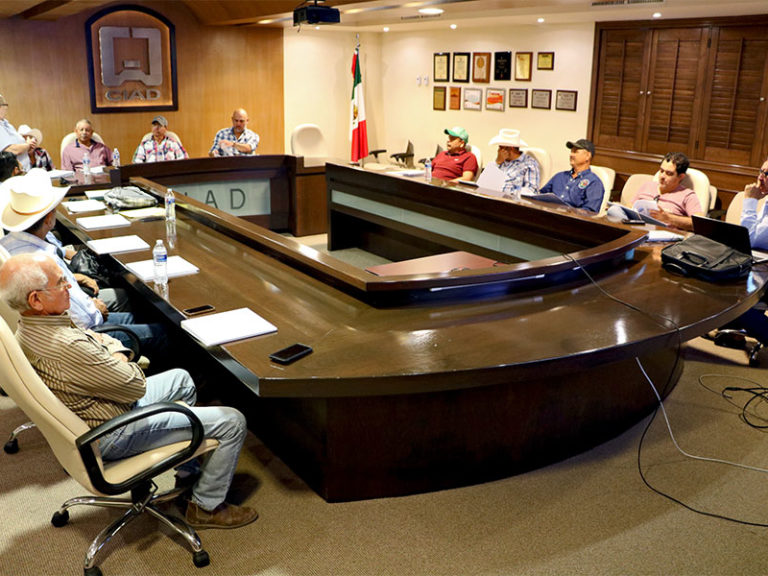 213-WEB-NOTA-1