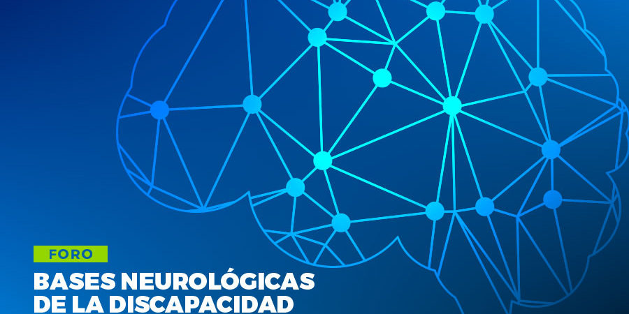 29fae423e04fa96d20dcc5724f6d4e5c_XL