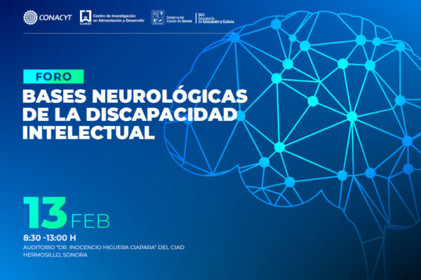 222-WEB-NOTA-5