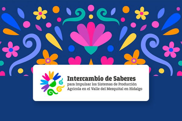 266-WEB-NOTA-4
