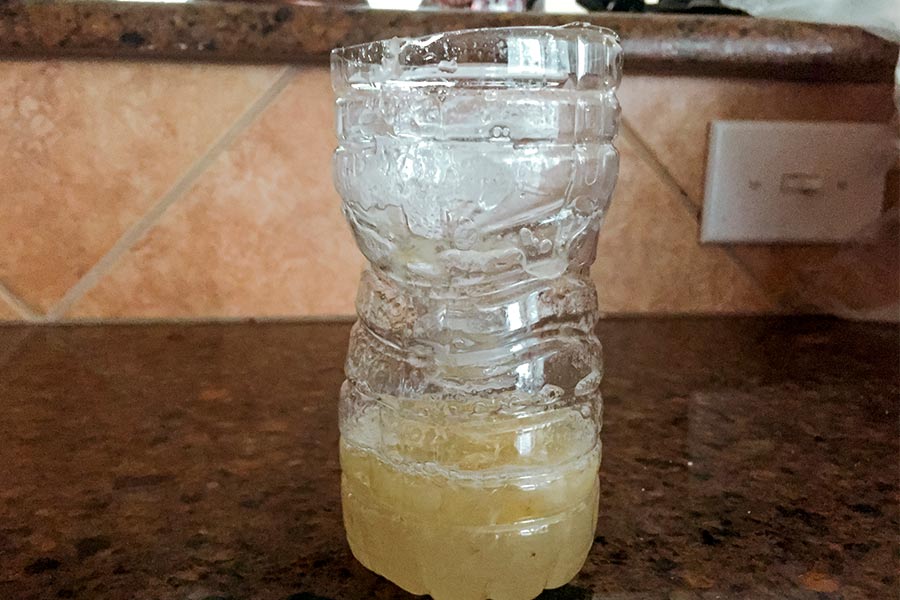 Cómo alejar a las moscas de nuestro hogar Centro de Investigación en