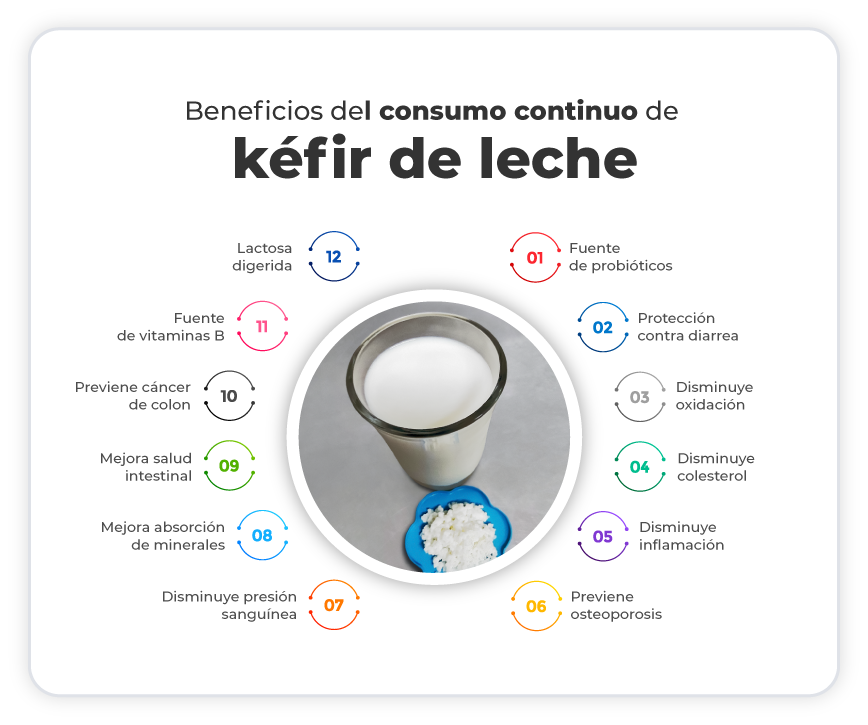 Propiedades del Kéfir, la popular bebida fermentada probiótica -  PequeRecetas