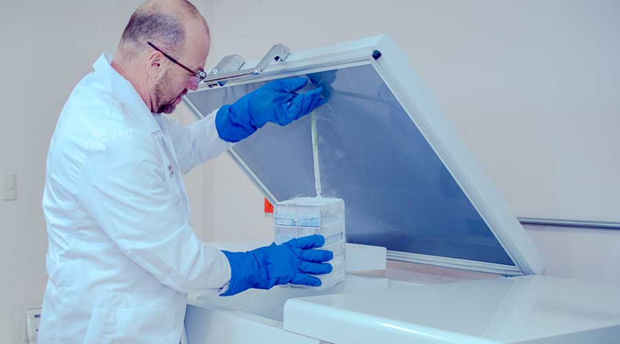 nutricion-lab-mob