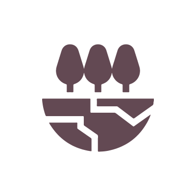 Estudio y gestión ambiental del desarrollo
