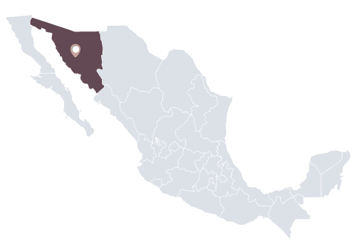 mapa_Nutricion