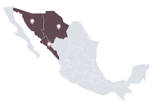 mapa_horticultura
