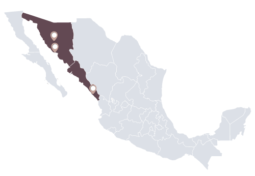 mapa_toxicologia