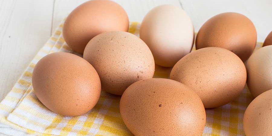 EL HUEVO, TIPS PARA SU MANEJO CORRECTO Y CONSUMO SEGURO