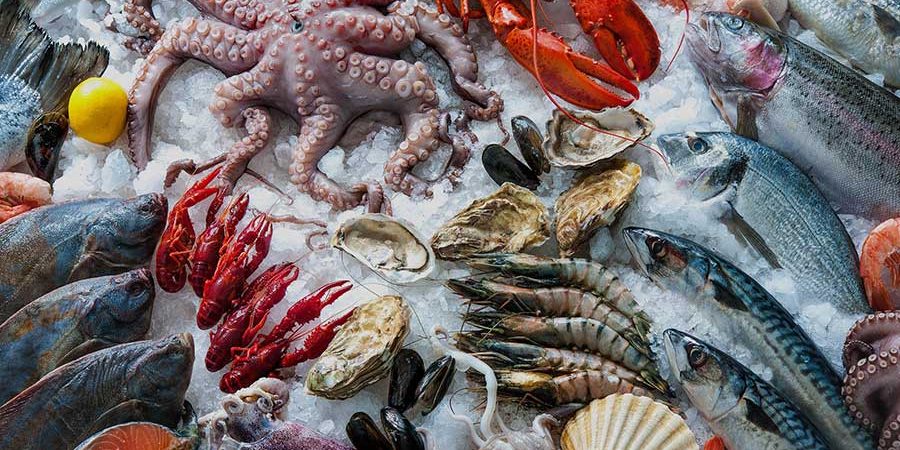 EL CIAD CONVOCA A CERTIFICACIÓN INTERNACIONAL EN HACCP PARA PESCADOS Y MARISCOS