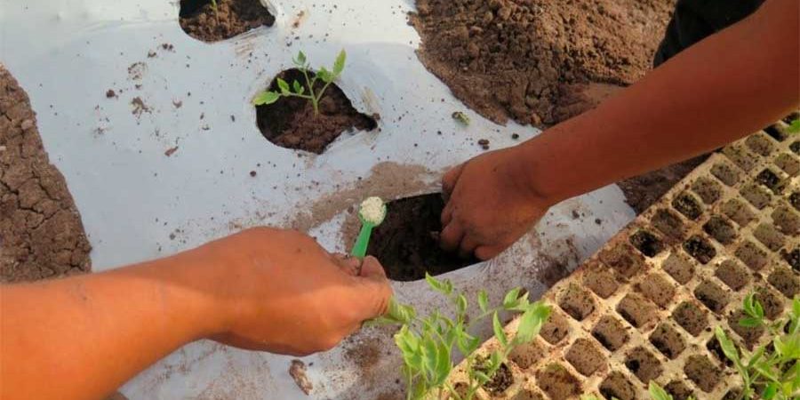 USO DEL HIDROGEL PARA LA AGRICULTURA