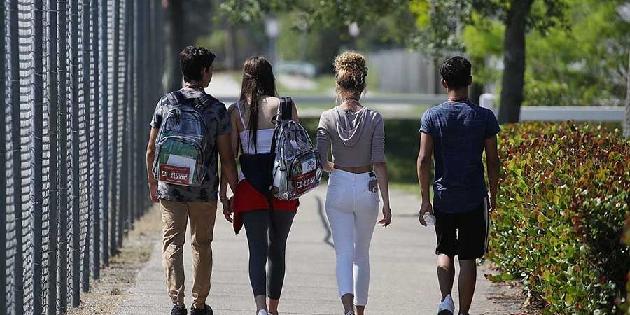 VIOLENCIA ESCOLAR, UNA PERSPECTIVA ECOLÓGICA