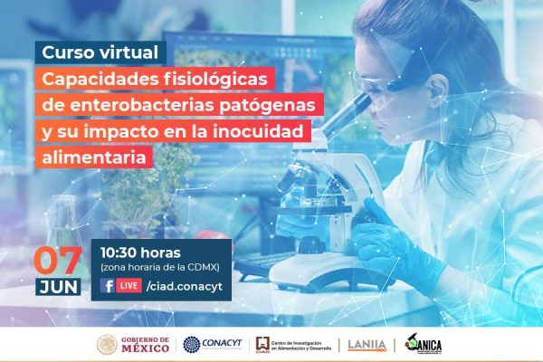 OFRECERÁN CURSO POR EL DÍA MUNDIAL DE LA INOCUIDAD DE LOS ALIMENTOS