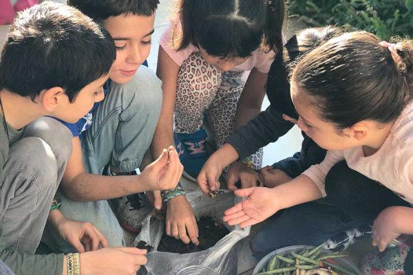 DES-GENERIZAR LA ESCUELA, UNA PROPUESTA PARA EL FOMENTO DE LA EQUIDAD