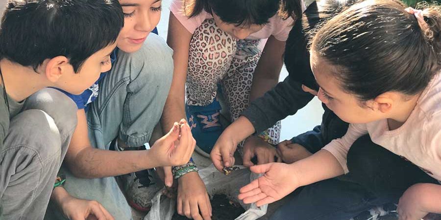 DES-GENERIZAR LA ESCUELA, UNA PROPUESTA PARA EL FOMENTO DE LA EQUIDAD