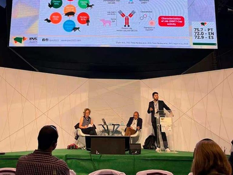 EL CIAD EXPONE EN BRASIL EN CONGRESO SOBRE SALUD PORCINA