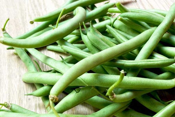 EL EJOTE, UNA FUENTE ANCESTRAL DE BENEFICIOS